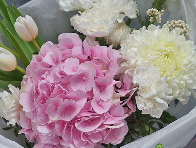 Букет с розовой гортензией и белыми тюльпанами Фото